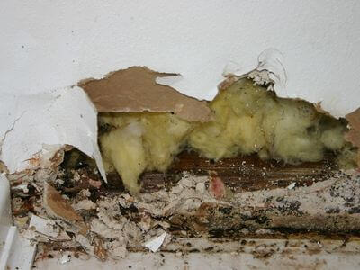 Professional storm damage restoration services in San Antonio - water damage restoration service