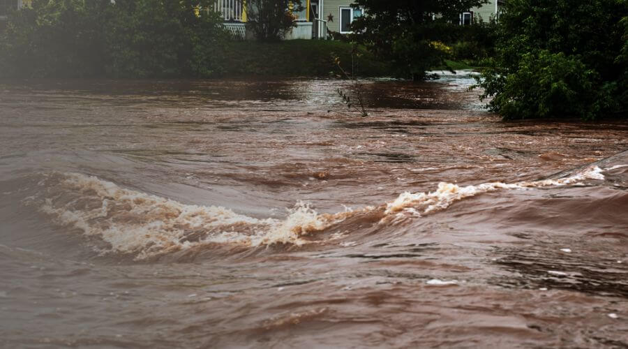 Why choose water damage restoration service for storm damage restoration in San Antonio